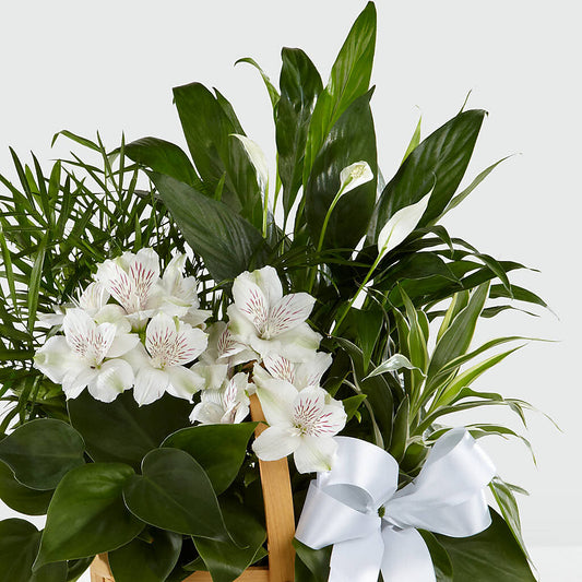 Peace & Serenity Dishgarden – Parkside Flowers, Rockwell City IA