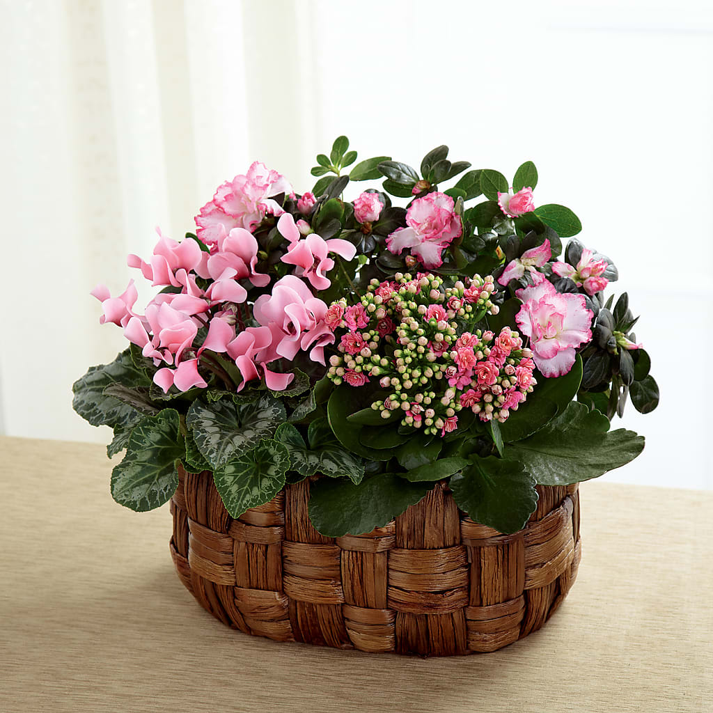 Pink Assortment – Parkside Flowers, Rockwell City IA