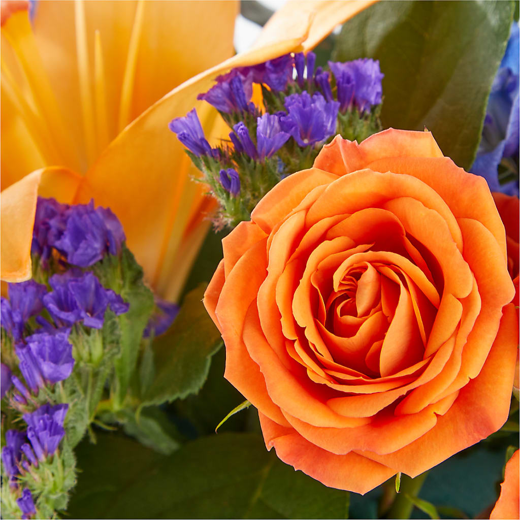 Radiant Citrus Box Bouquet – Parkside Flowers, Rockwell City IA