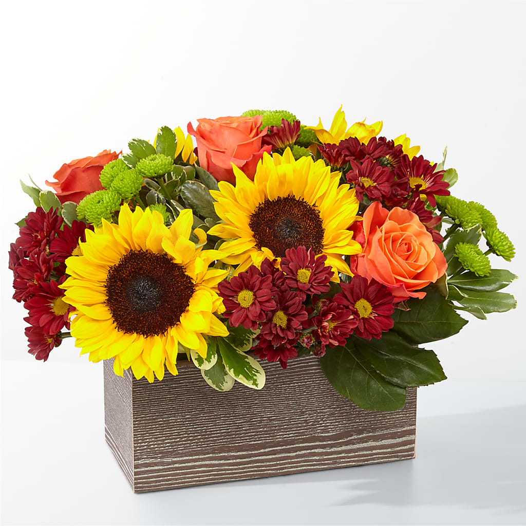 Happy Harvest Garden – Parkside Flowers, Rockwell City IA