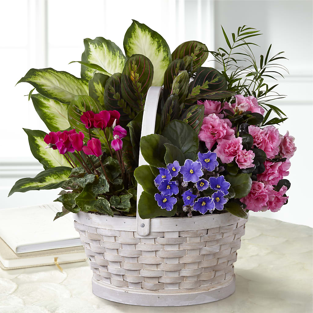 Peaceful Garden Planter – Parkside Flowers, Rockwell City IA