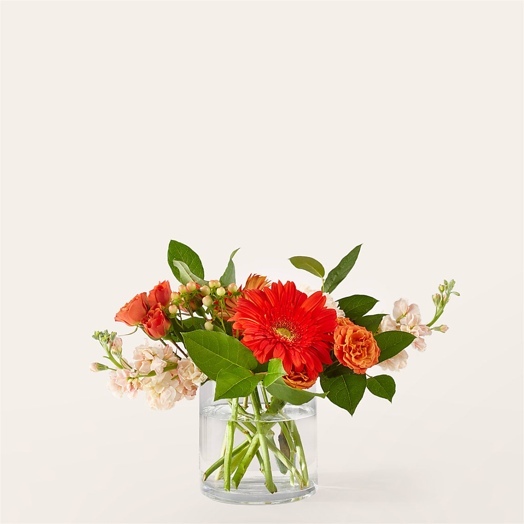 Paloma Please Bouquet – Parkside Flowers, Rockwell City IA