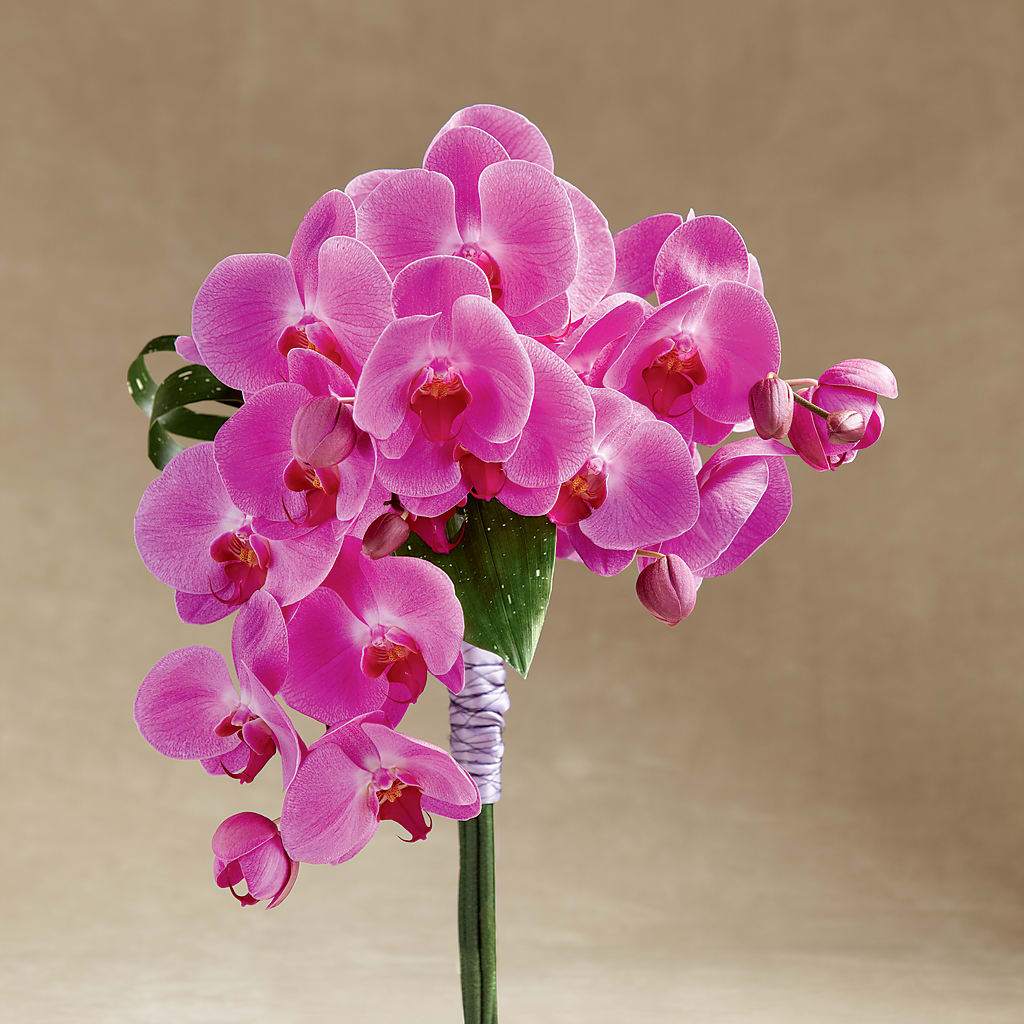 Glorious Bouquet – Parkside Flowers, Rockwell City IA