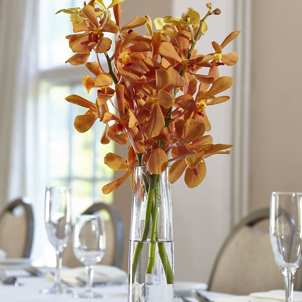 Orange Mokara Bud Vase – Parkside Flowers, Rockwell City IA