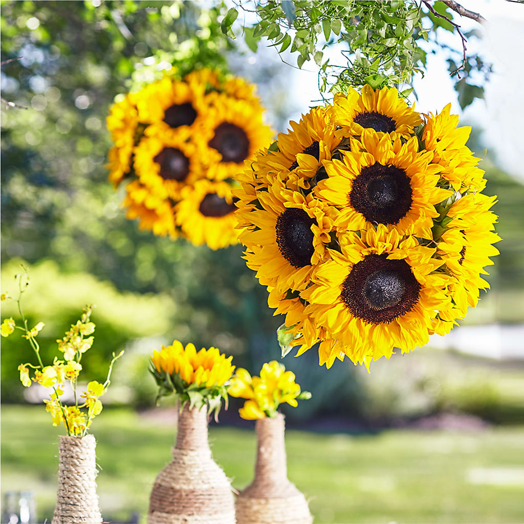 Sublime Garden Hanging Arrangement – Parkside Flowers, Rockwell City IA