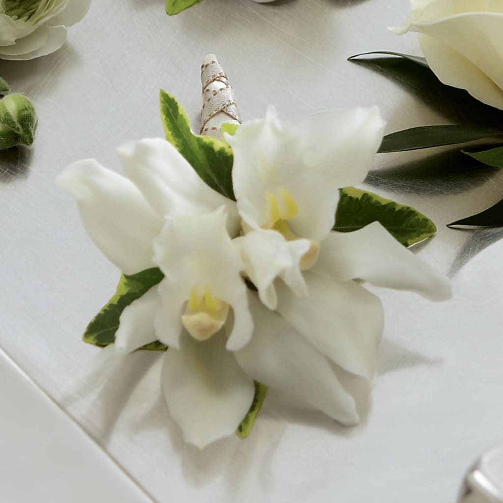 White Mini Cymbidium Boutonniere – Parkside Flowers, Rockwell City IA