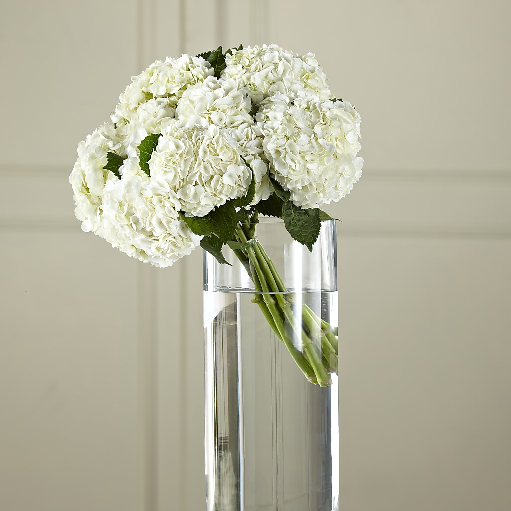 White Hydrangea Hand-Tied Bouquet – Parkside Flowers, Rockwell City IA