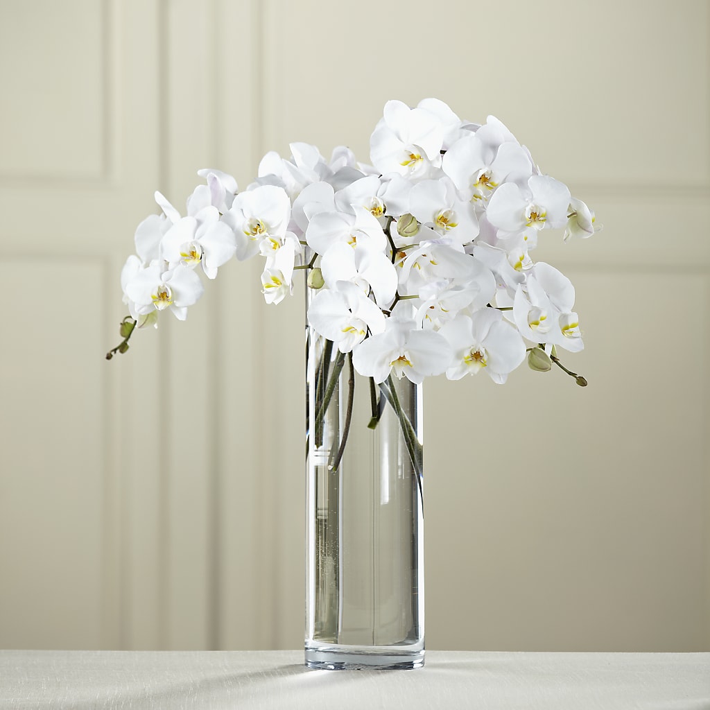 White Phalaenopsis Bouquet – Parkside Flowers, Rockwell City IA