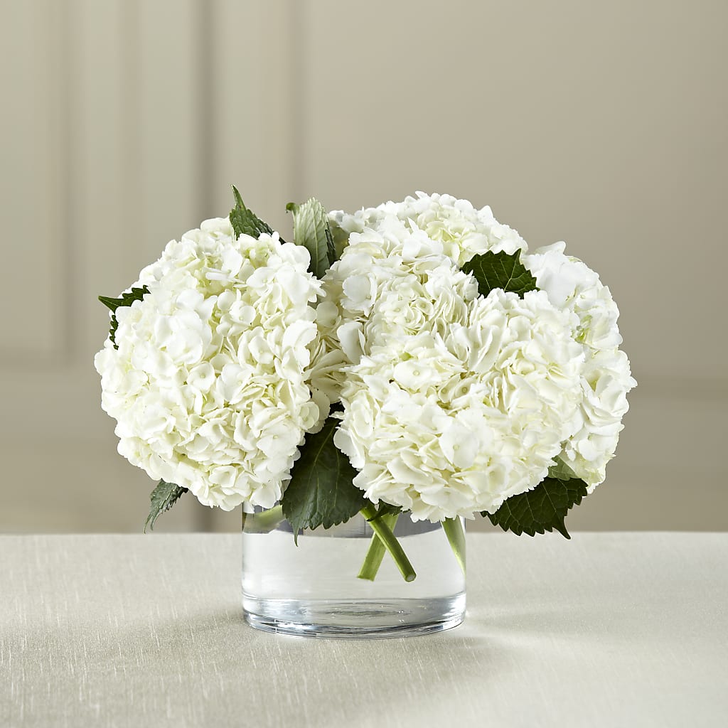 White Hydrangea Bouquet – Parkside Flowers, Rockwell City IA