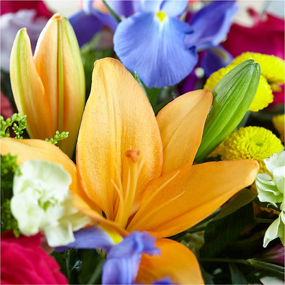Bold & Bright – A Florist Original –  Parkside Flowers, Rockwell City IA