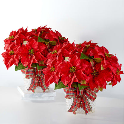Happiest Holidays Poinsettia Bundle –  Parkside Flowers, Rockwell City IA