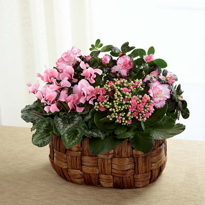 Pink Assortment –  Parkside Flowers, Rockwell City IA