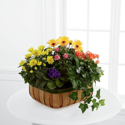 Gentle Blossoms Basket –  Parkside Flowers, Rockwell City IA