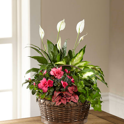 Dream in Pink Dishgarden –  Parkside Flowers, Rockwell City IA