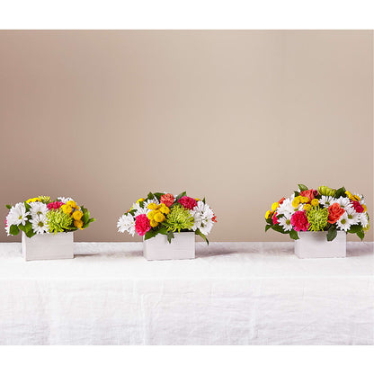 Sorbet Bouquet –  Parkside Flowers, Rockwell City IA