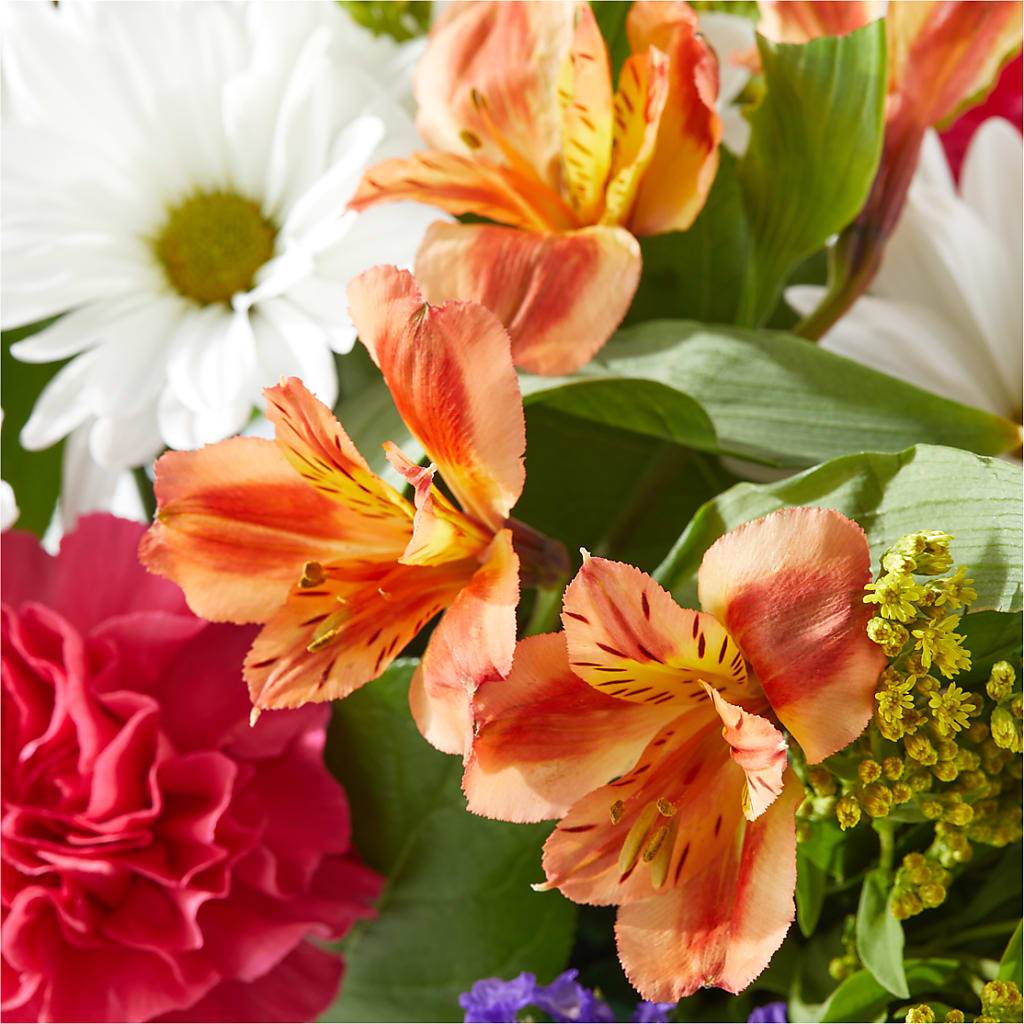 Oopsie Daisy Box Bouquet –  Parkside Flowers, Rockwell City IA