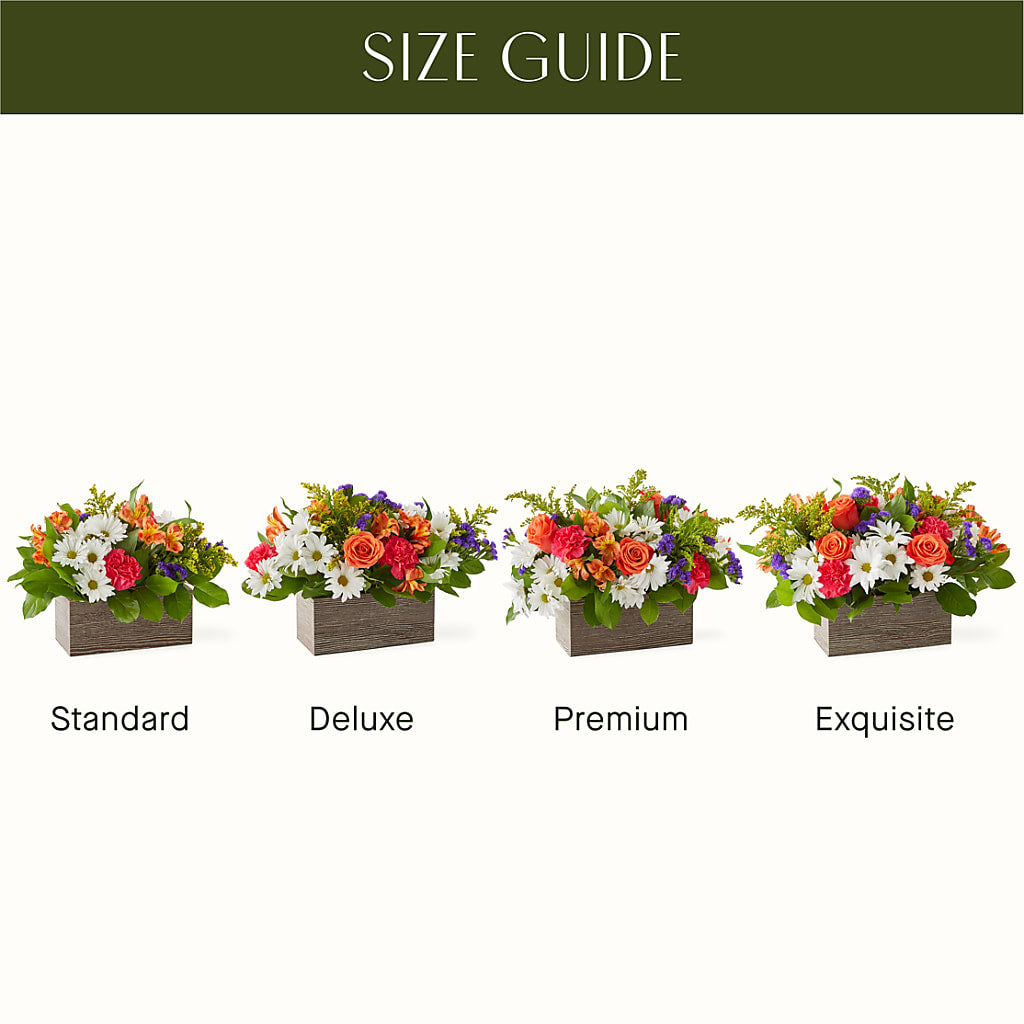 Oopsie Daisy Box Bouquet –  Parkside Flowers, Rockwell City IA
