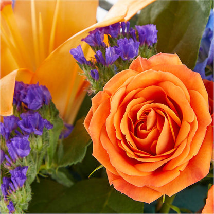 Radiant Citrus Box Bouquet –  Parkside Flowers, Rockwell City IA