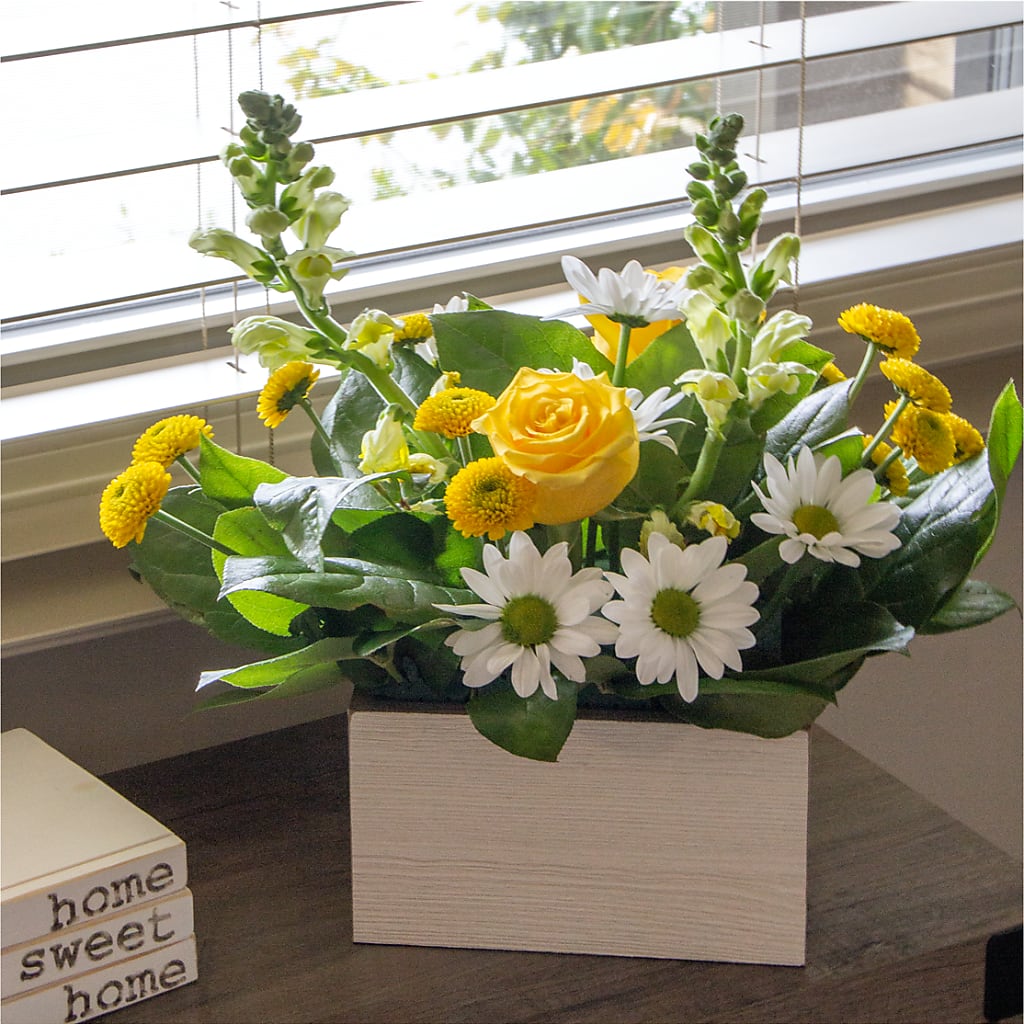 Sun Salutation Box Bouquet –  Parkside Flowers, Rockwell City IA