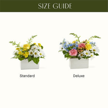 Sun Salutation Box Bouquet –  Parkside Flowers, Rockwell City IA