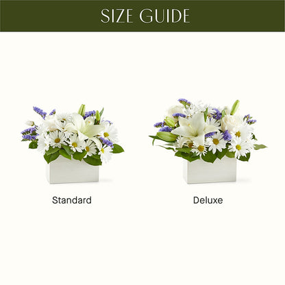 Beyond Blue Box Bouquet –  Parkside Flowers, Rockwell City IA