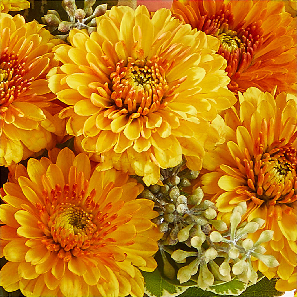 Peachy Pumpkin –  Parkside Flowers, Rockwell City IA