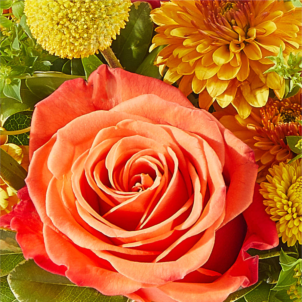 Gourdgeous Pumpkin –  Parkside Flowers, Rockwell City IA