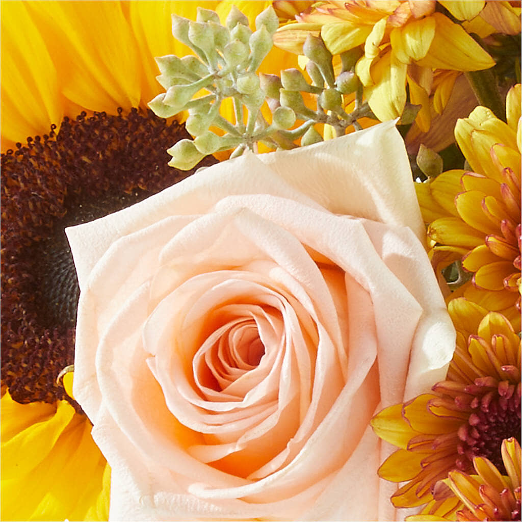 Pumpkin to Talk About Bouquet –  Parkside Flowers, Rockwell City IA