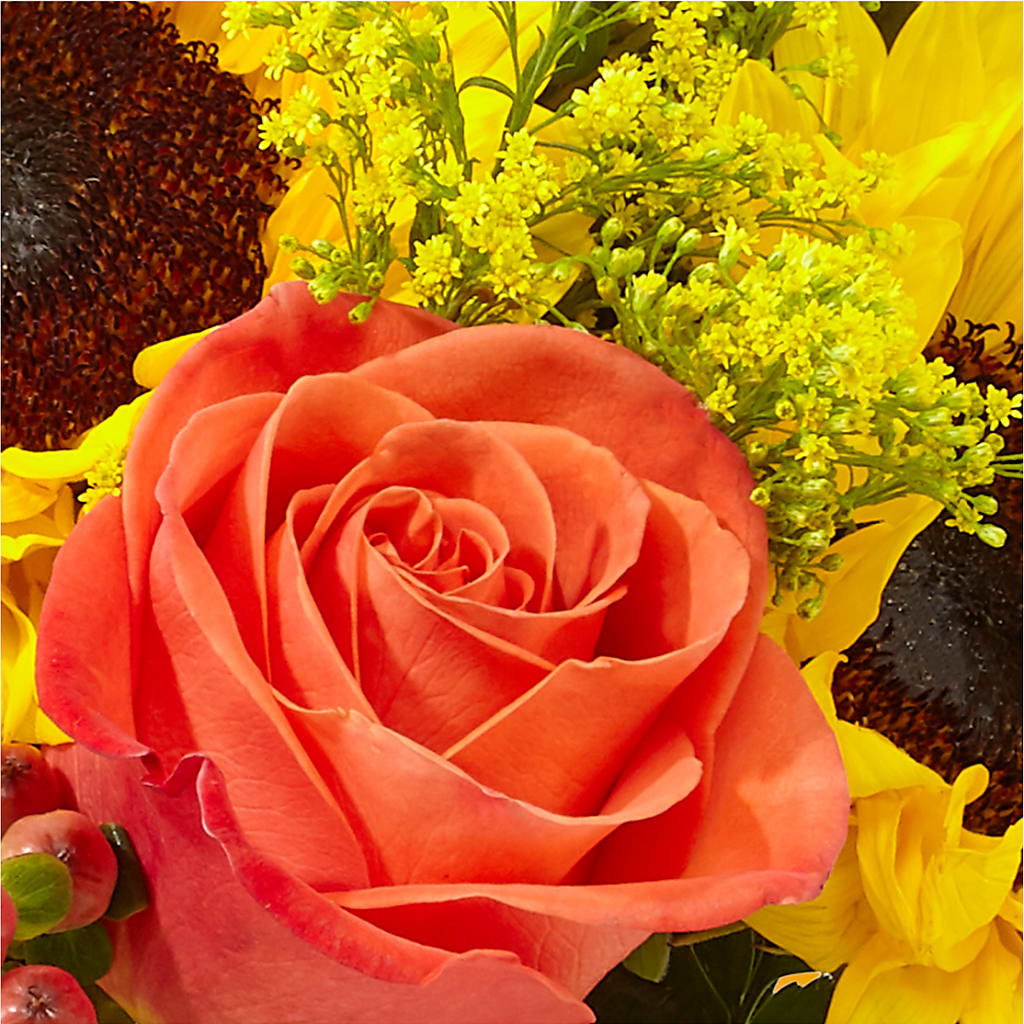 Pick of the Patch Pumpkin Bouquet –  Parkside Flowers, Rockwell City IA