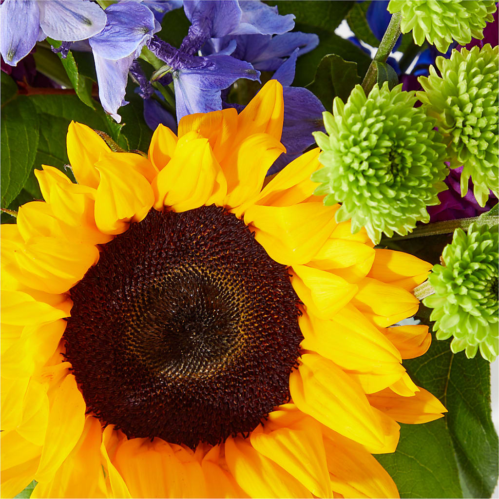Catching Rays Bouquet –  Parkside Flowers, Rockwell City IA