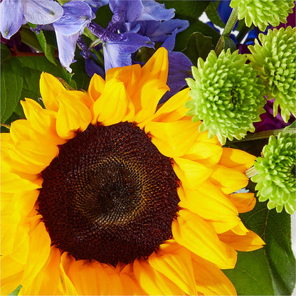 Catching Rays Bouquet –  Parkside Flowers, Rockwell City IA