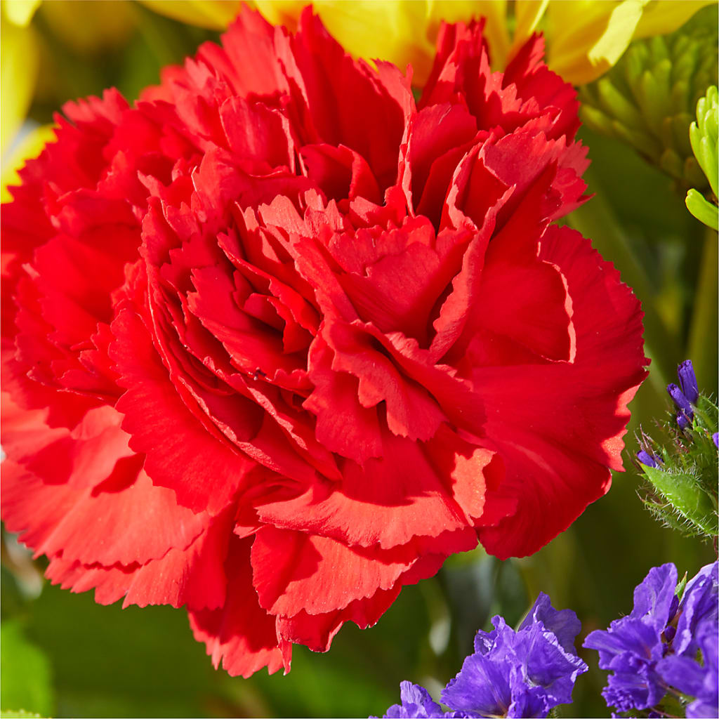 Brighter Days Bouquet –  Parkside Flowers, Rockwell City IA