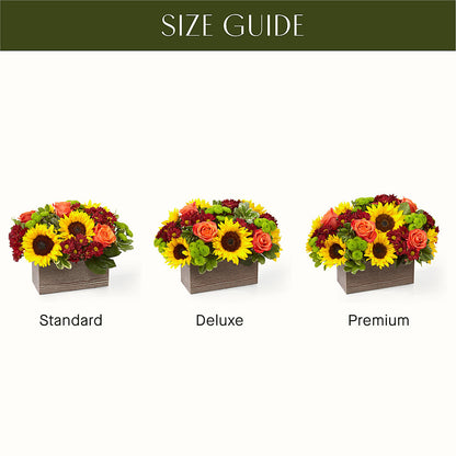 Happy Harvest Garden –  Parkside Flowers, Rockwell City IA
