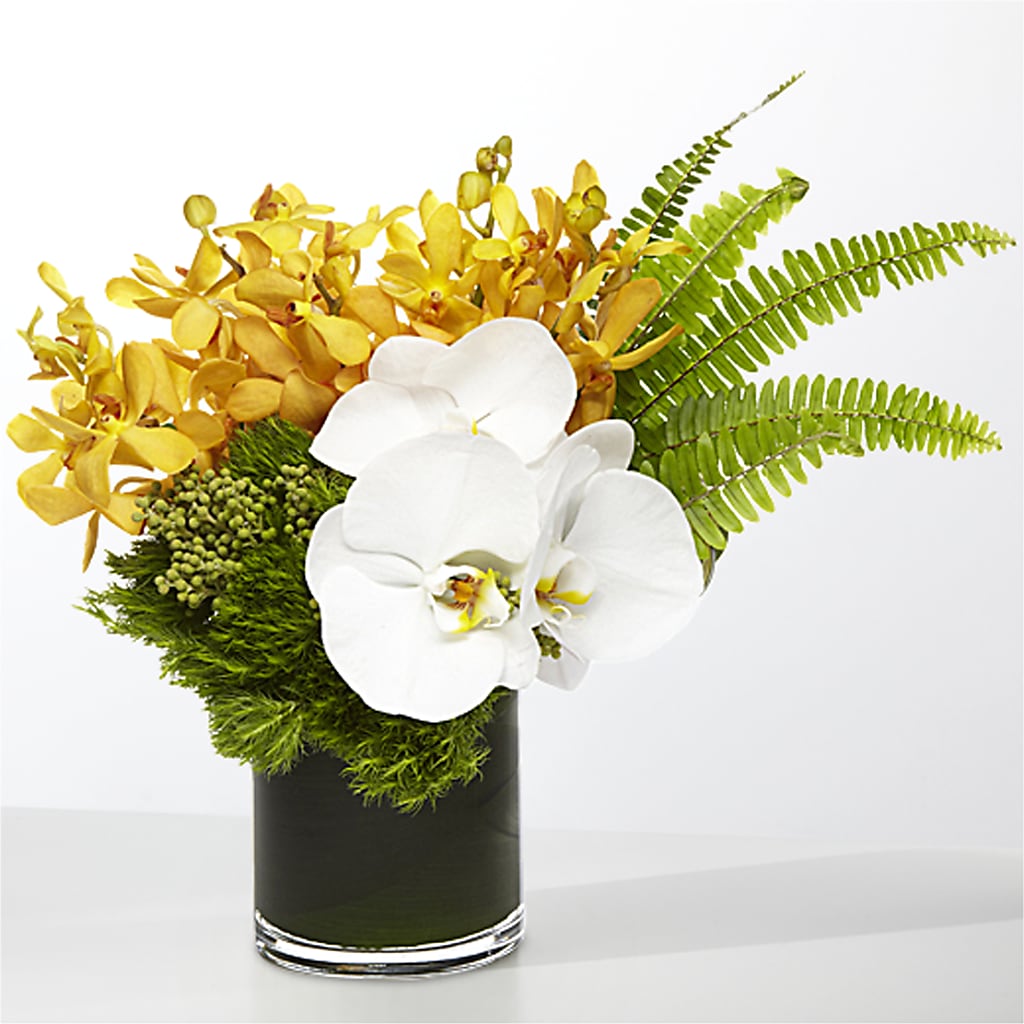 The Tropics –  Parkside Flowers, Rockwell City IA