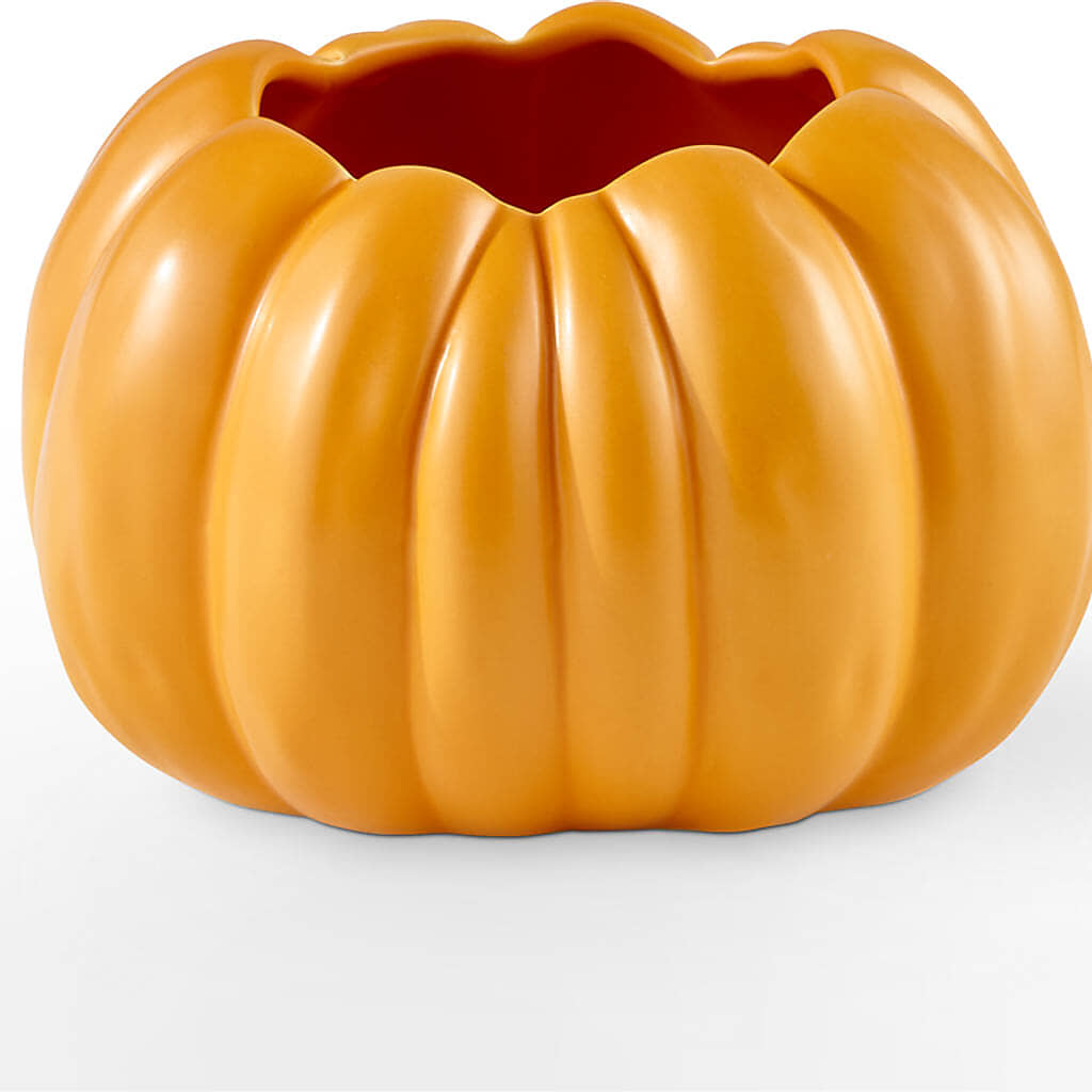 Golden Gourd Pumpkin Bouquet –  Parkside Flowers, Rockwell City IA