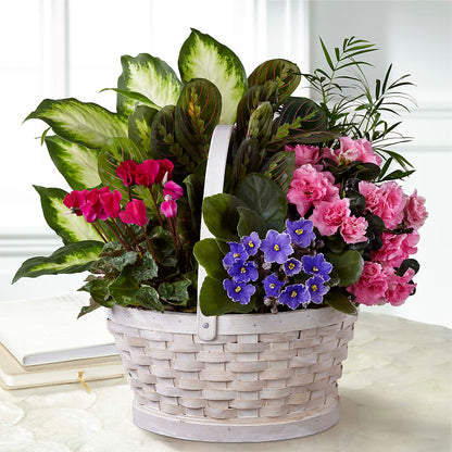 Peaceful Garden Planter –  Parkside Flowers, Rockwell City IA
