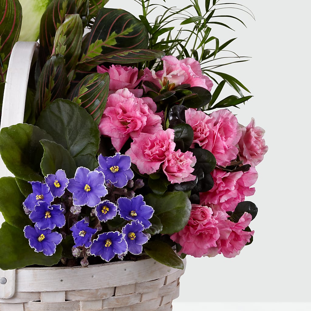 Peaceful Garden Planter –  Parkside Flowers, Rockwell City IA