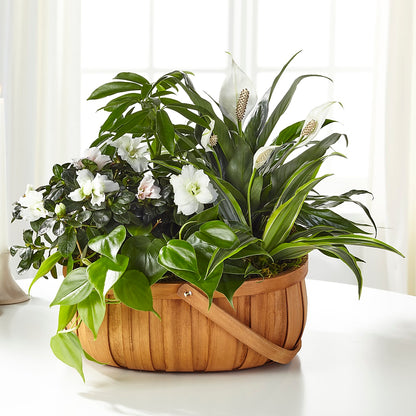 Serene Dishgarden –  Parkside Flowers, Rockwell City IA