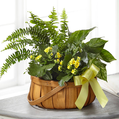Always Dear Dishgarden –  Parkside Flowers, Rockwell City IA
