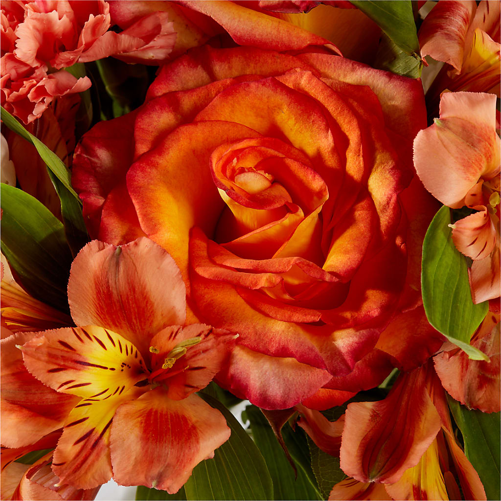 Apricot Glow Bouquet –  Parkside Flowers, Rockwell City IA