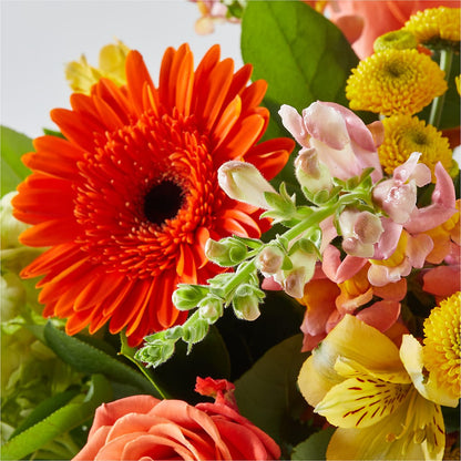 Autumn Sunshine Bouquet –  Parkside Flowers, Rockwell City IA