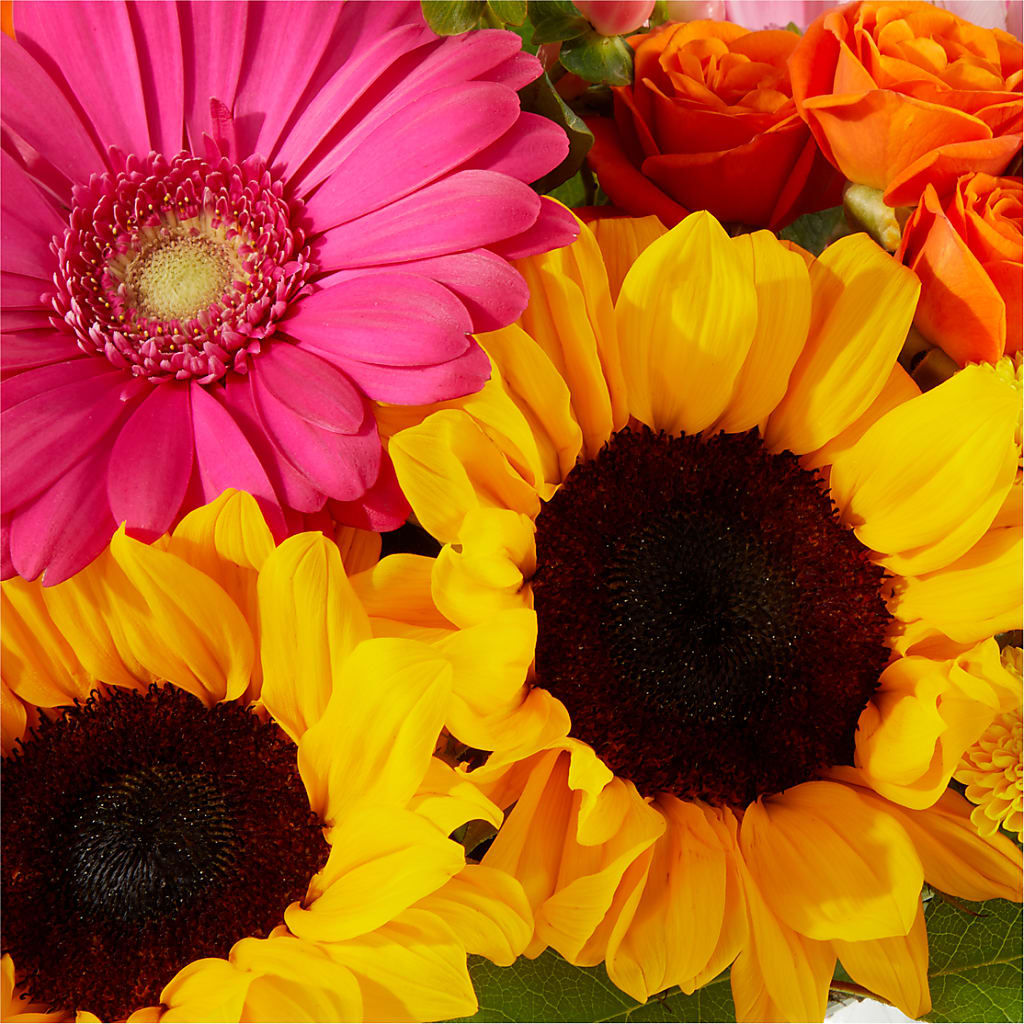 Beach Day Bouquet –  Parkside Flowers, Rockwell City IA