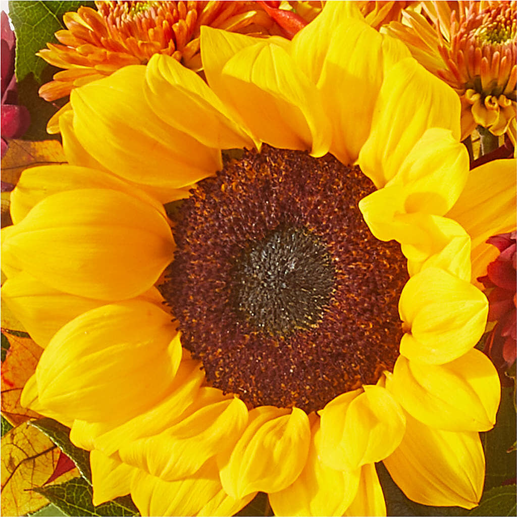 Sunny Side Bouquet –  Parkside Flowers, Rockwell City IA