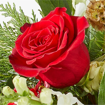 Deck the Halls Bouquet –  Parkside Flowers, Rockwell City IA