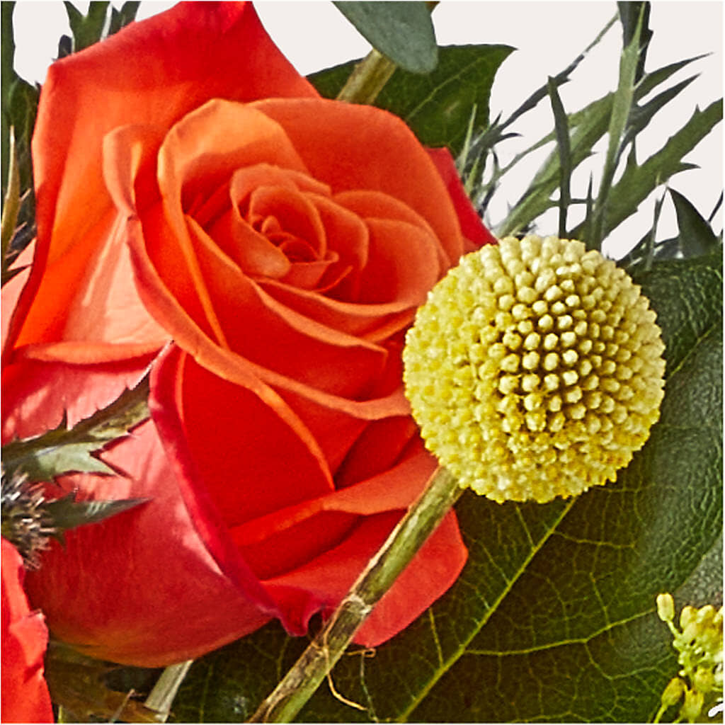 Disco Bouquet –  Parkside Flowers, Rockwell City IA