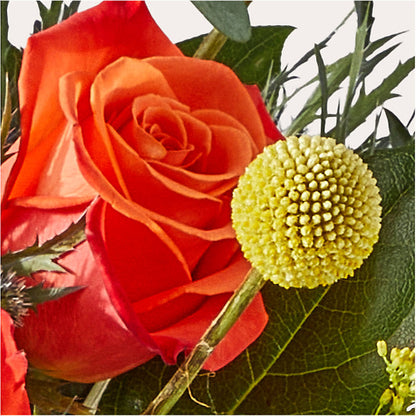 Disco Bouquet –  Parkside Flowers, Rockwell City IA