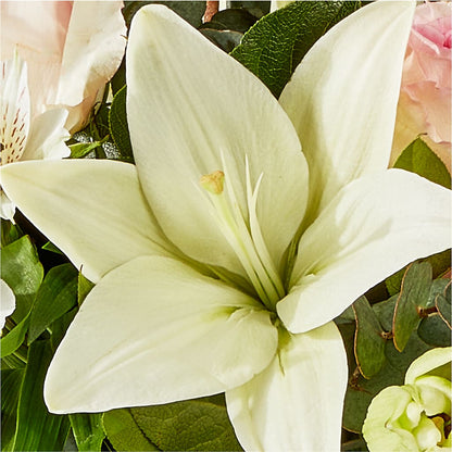 Ballet Slippers Bouquet –  Parkside Flowers, Rockwell City IA