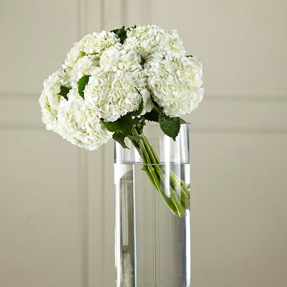 White Hydrangea Hand-Tied Bouquet –  Parkside Flowers, Rockwell City IA