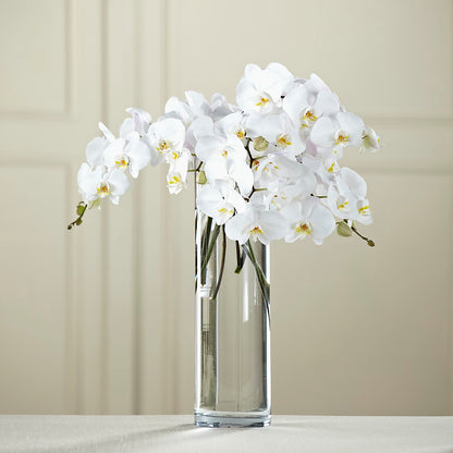 White Phalaenopsis Bouquet –  Parkside Flowers, Rockwell City IA